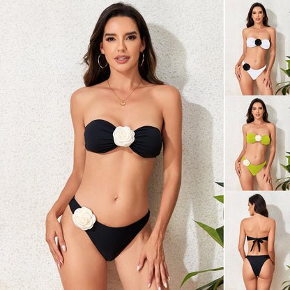 Sleek and Contemporary Bikini