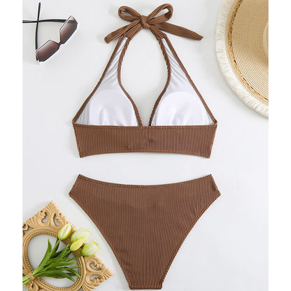 Sleek and Contemporary Bikini