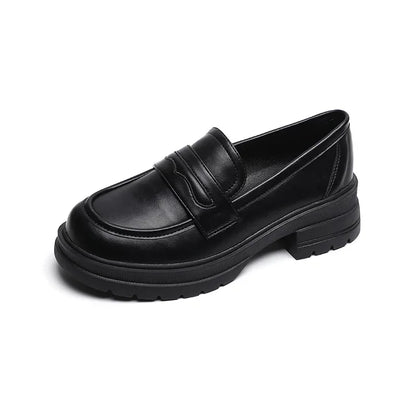 Platform Loafers Women's Shoes 2025 New Autumn Winter Vintage Leather Shoes with Thick Heels Soft Soles Single Shoes for Women